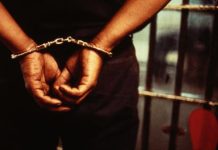 EXCLUSIVE: $2 Million Digital Nightmare – Nigerian Mastermind Faces 20 Years in US Federal Prison