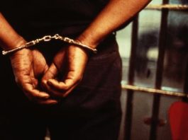 EXCLUSIVE: $2 Million Digital Nightmare – Nigerian Mastermind Faces 20 Years in US Federal Prison