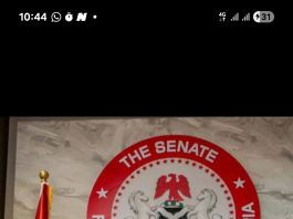 Senate Moves to Resolve Natasha Akpoti-Uduaghan Suspension Crisis