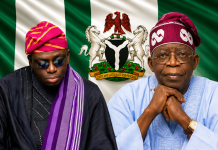 Xenophobia in South Africa, Ghana: Dr. Kayode Omolayo Calls for New Nigerian Constitution